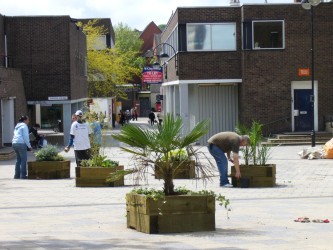 planting for partnerships