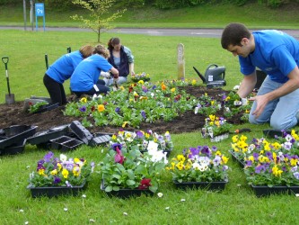 planting for partnerships