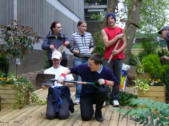 planting for partnerships