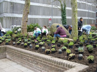 planting for partnerships